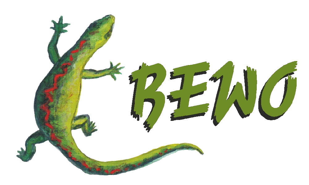 Thomas Wick Referenzen - BEWO begleitetes Wohnen
